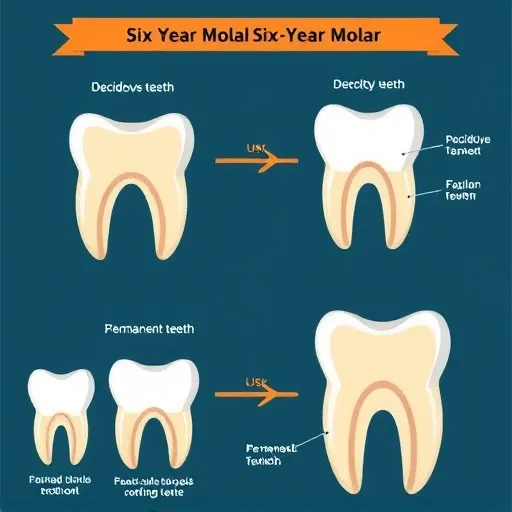 성인을 위한 평생 영구치 관리 로드맵: 전문적 솔루션의 필요성